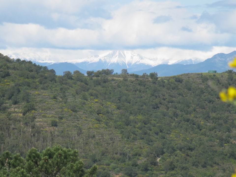 Blick auf die Pyrenäen Blick auf die Pyrenäen